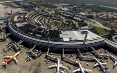 Stevens Rehen fala sobre exposição que une arte e ciência no aeroporto Tom Jobim, RJ