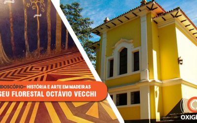 Museu Florestal Octávio Vecchi: onde madeira é ciência e arte