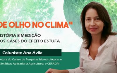 “De Olho no Clima”: história e medição dos gases do efeito estufa