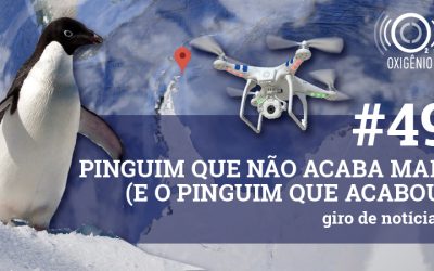 #49 – Giro de notícias: Pinguim que não acaba mais (e o pinguim que acabou)