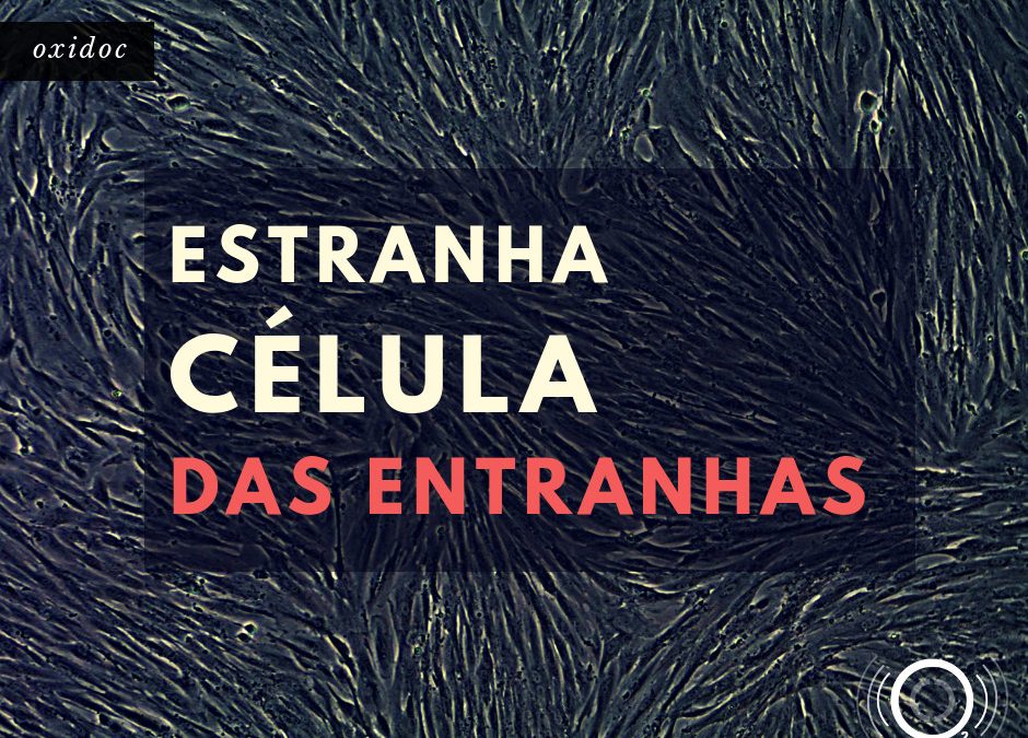 Oxidoc: Estranha célula das entranhas