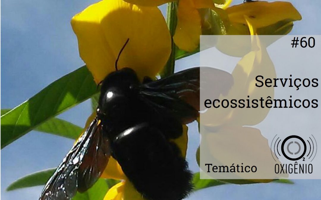 #60 Temático: Serviços Ecossistêmicos