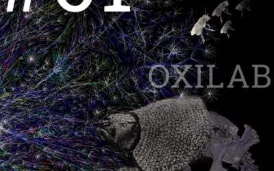 #61 Oxilab: Dormindo na rede