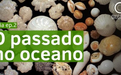 #108 Gaia episódio 2 – O passado no oceano