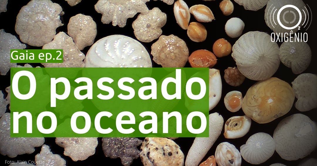 #108 Gaia episódio 2 – O passado no oceano