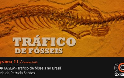 Tráfico de fósseis brasileiros: desafios e caminhos (parte II)