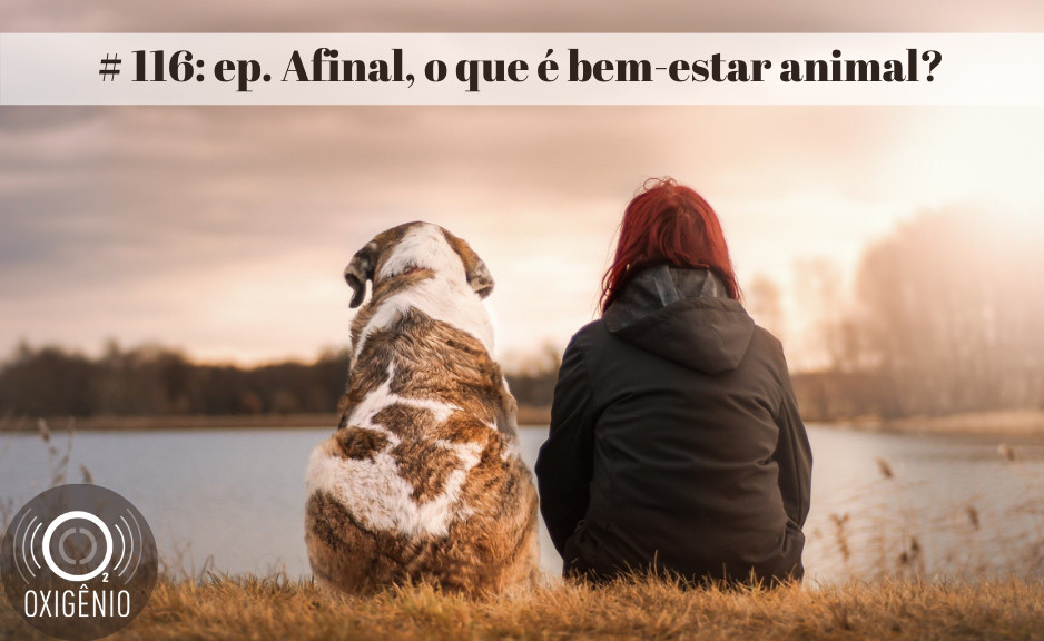 #116 – Afinal, o que é bem-estar animal?