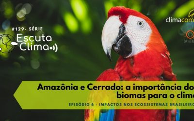 #129 – Escuta Clima – ep. 6 – Amazônia e Cerrado: a importância dos biomas para o clima