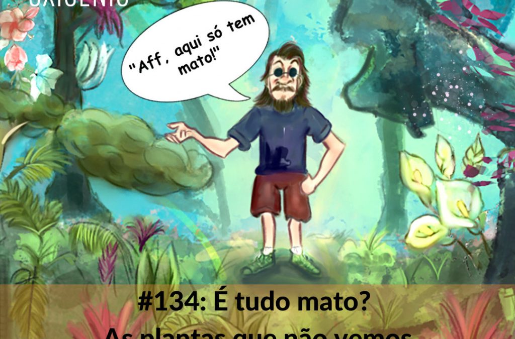 #134 – É tudo mato? As plantas que não vemos