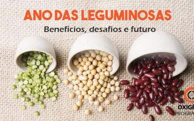 As leguminosas e sua importância na produção sustentável de alimentos
