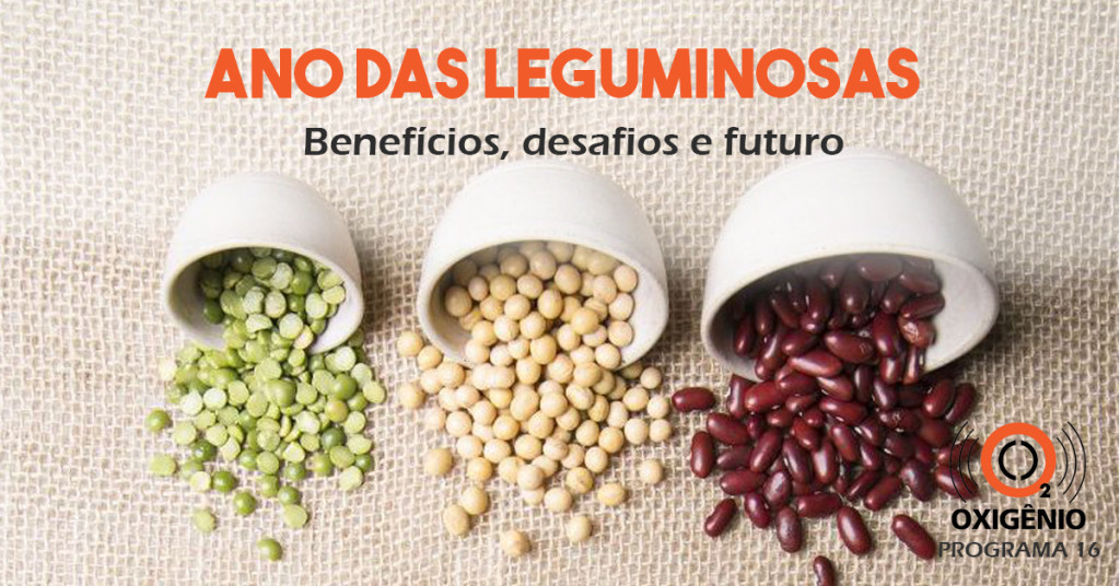 As leguminosas e sua importância na produção sustentável de alimentos