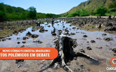 58 pontos do novo Código Florestal Brasileiro em debate.