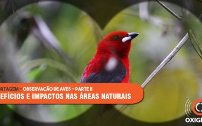 Observação de aves em unidades de conservação: benefícios e impactos potenciais