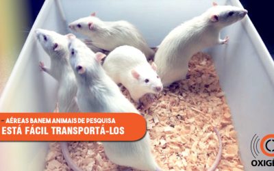 Empresas aéreas vetam animais para pesquisa