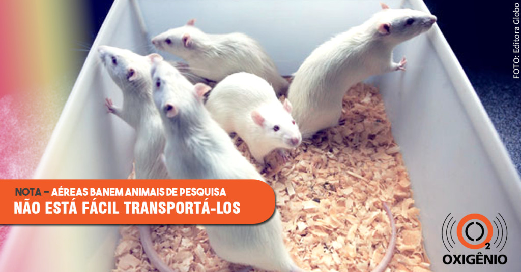 Empresas aéreas vetam animais para pesquisa