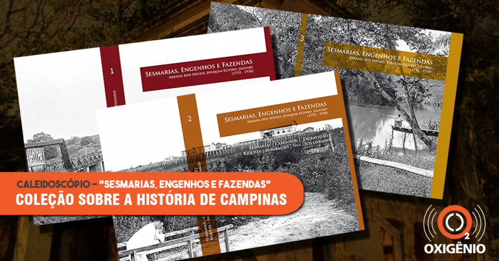 Caleidoscópio: coleção “Sesmarias, engenhos e fazendas do arraial de Souzas, Joaquim Egídio e Jaguary”