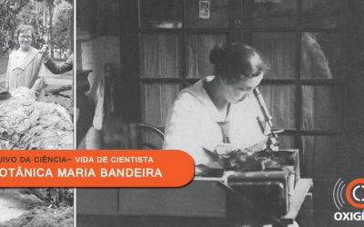 Maria Bandeira é uma das pioneiras na botânica brasileira