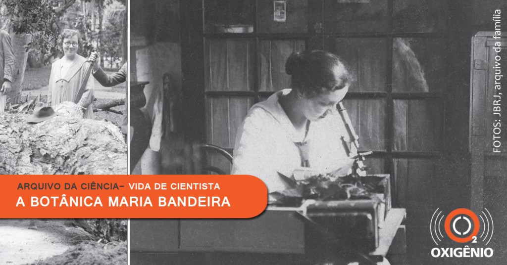 Maria Bandeira é uma das pioneiras na botânica brasileira