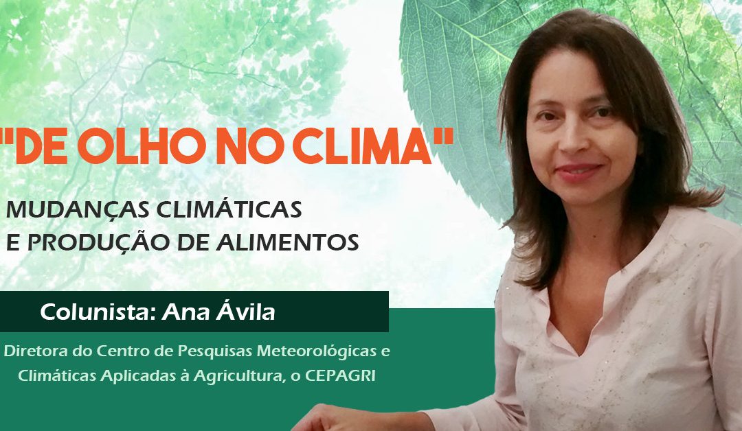 Coluna “De olho no clima” aborda a relação entre mudanças climáticas e produção de alimentos