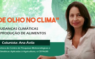 Coluna “De olho no clima” aborda a relação entre mudanças climáticas e produção de alimentos