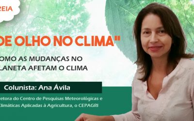 Estreia da coluna “De olho no clima”, de Ana Ávila.