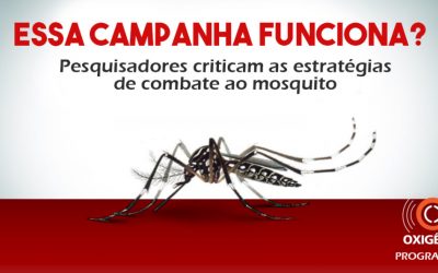 As campanhas de combate ao mosquito Aedes aegypti mobilizam a população?