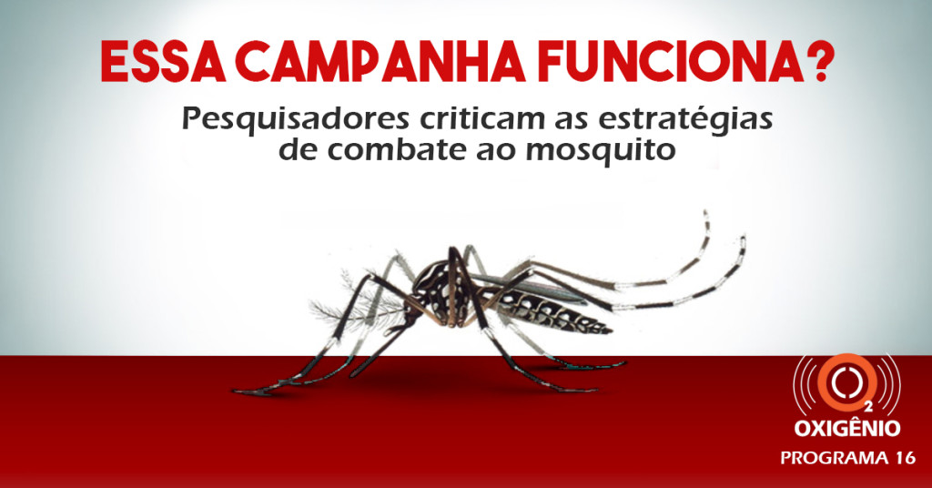 As campanhas de combate ao mosquito Aedes aegypti mobilizam a população?