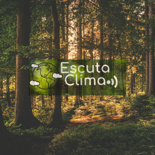 Escuta Clima