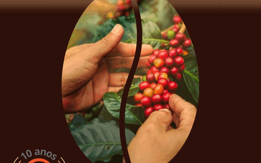 #201 – Um bate-papo sobre café