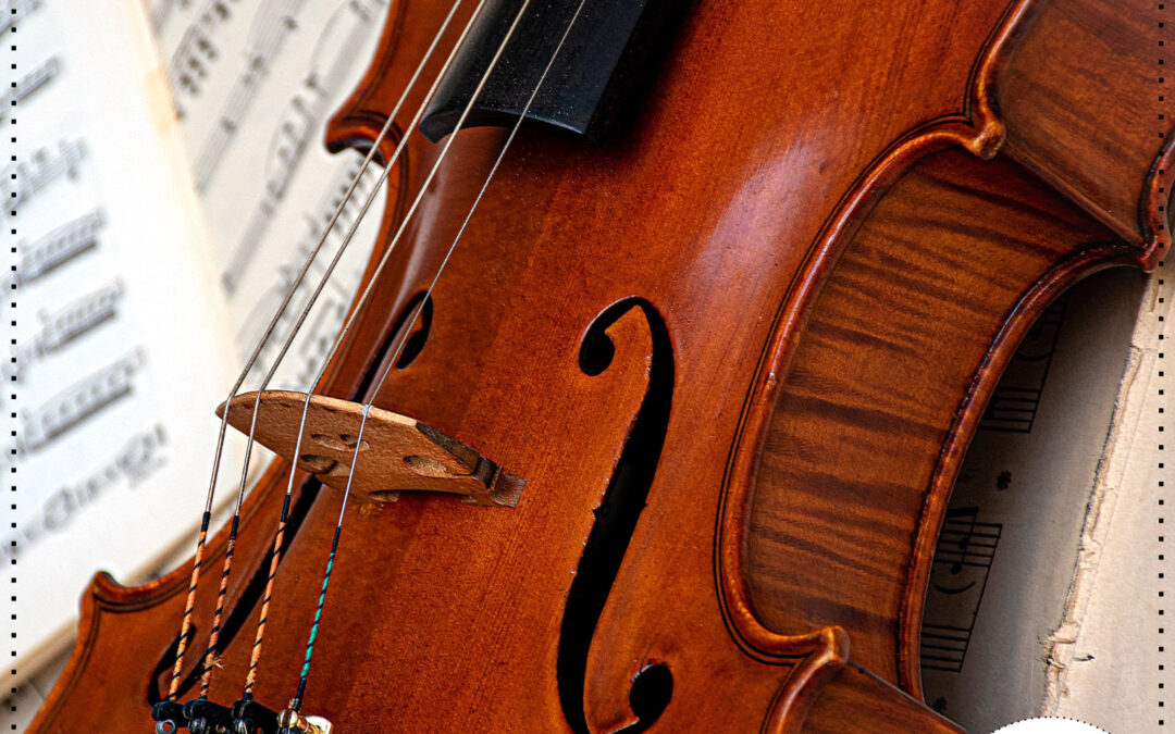 #212 – Ugo Giorgetti em 4 documentários – 2º Episódio