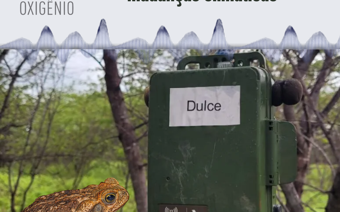 #214 – Paisagens sonoras revelam mudanças climáticas