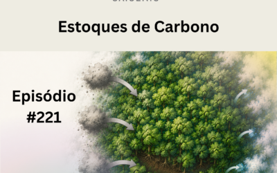 #221 – Estoques de carbono