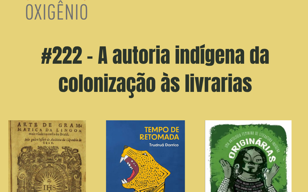 A autoria indígena da colonização às livrarias