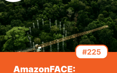#225 – AmazonFACE: o maior experimento científico a céu aberto do mundo